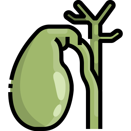 gallbladder (1)