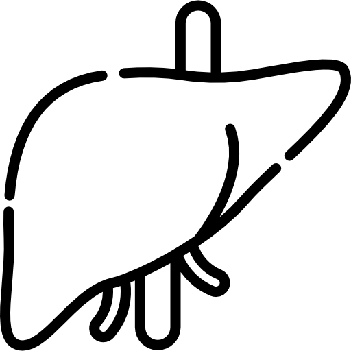 liver